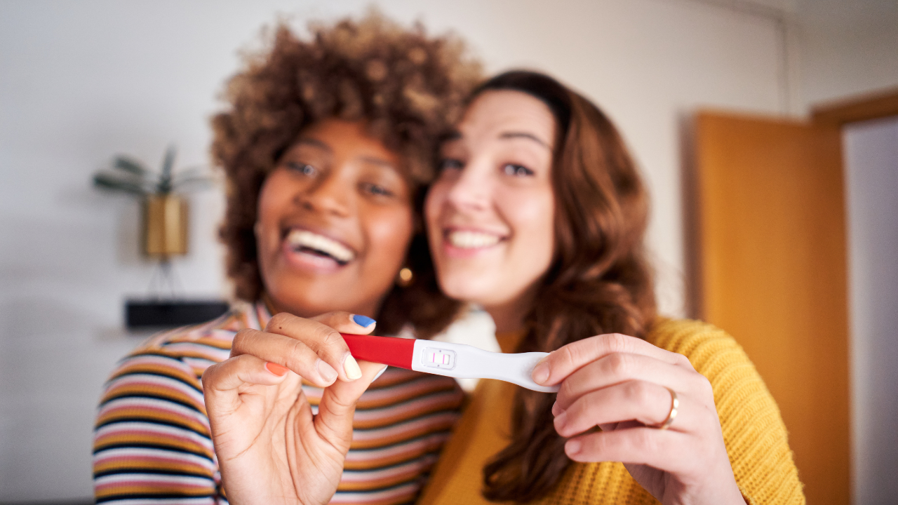 Lesbian Pregnant Couple Can A Gamete Donor Be Considered A Parent?