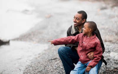 Family Law In South Africa: Exploring The Scope, Structure And Strategy